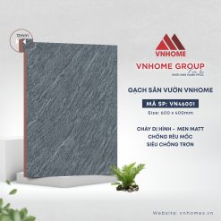 VN46001