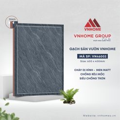VN46002