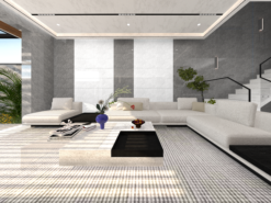 4800748008 da chinh 1