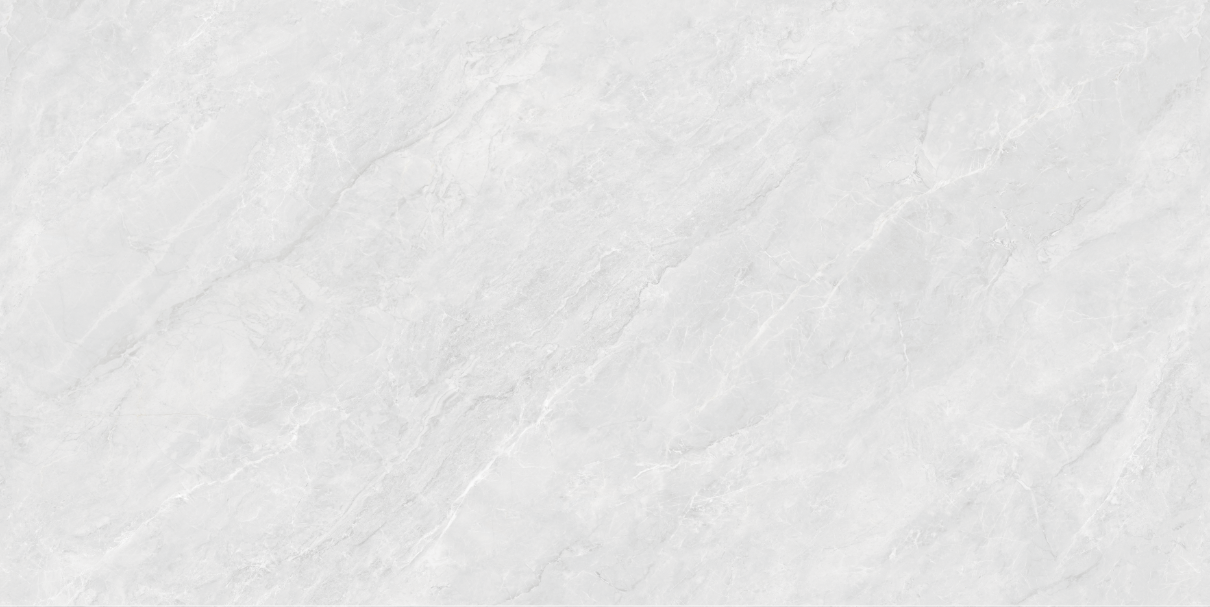 VNP 48013 - VNP 48012D - VNP 48011